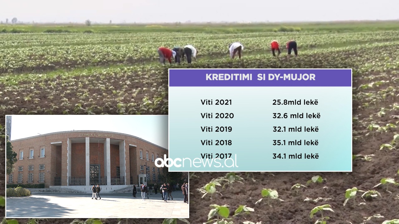 Bizneset nuk kanë interes për kredi, ulen 20%